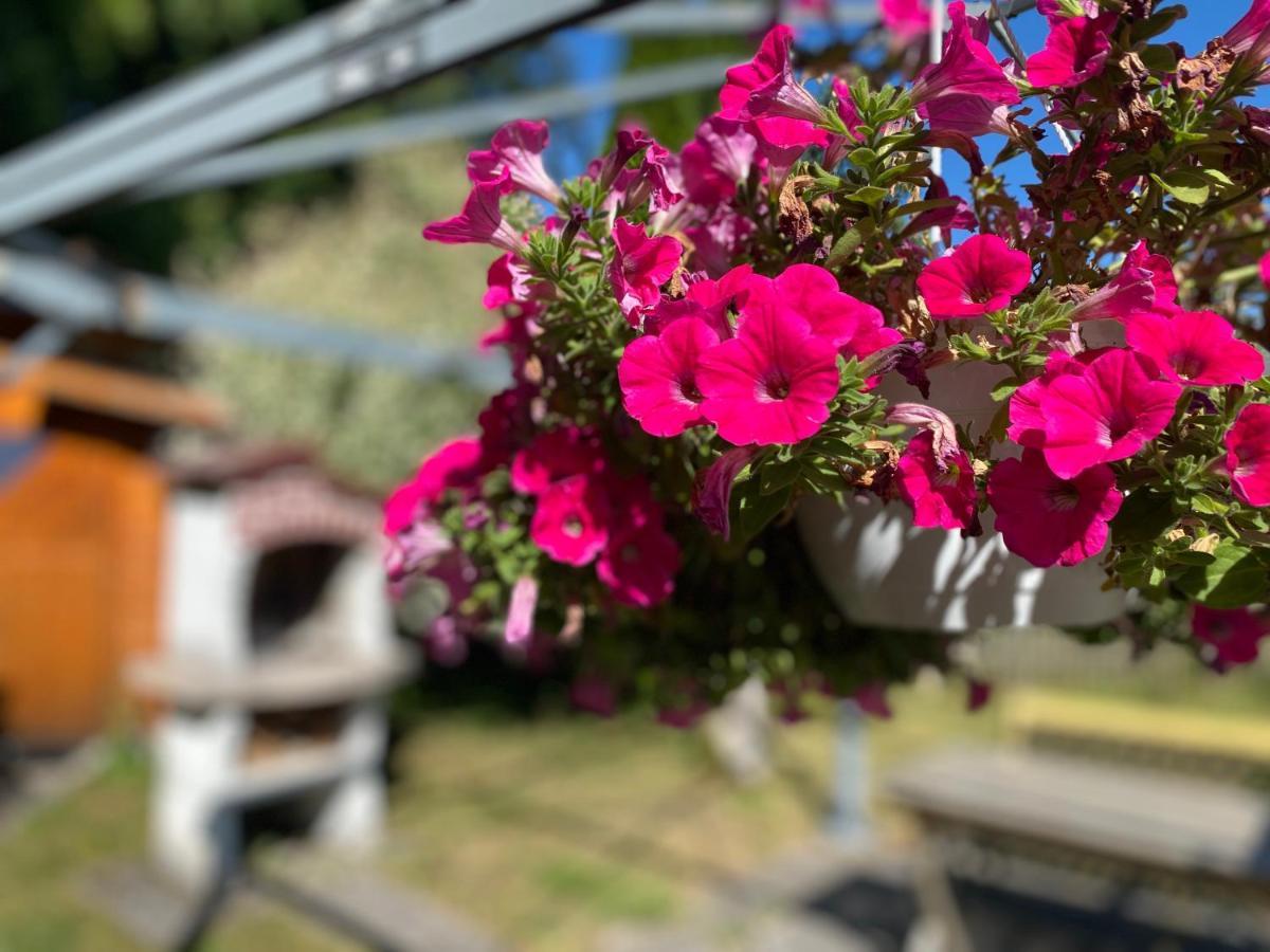 Ferienwohnung Am Franziskanergarten Bad Tölz Екстериор снимка