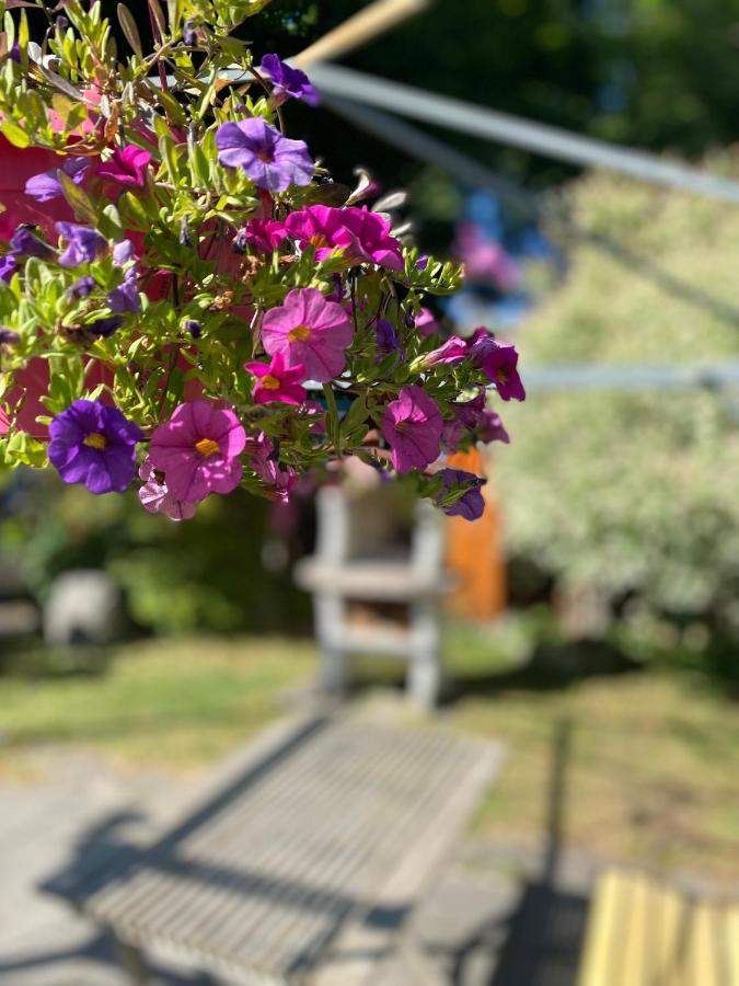 Ferienwohnung Am Franziskanergarten Bad Tölz Екстериор снимка
